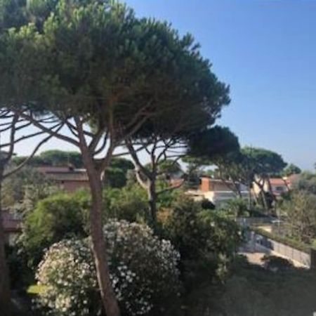 Appartamento Signorile, Luminosissima Vista Mare Fregenae Kültér fotó