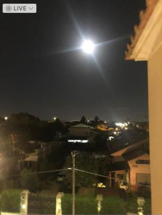 Appartamento Signorile, Luminosissima Vista Mare Fregenae Kültér fotó